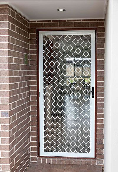 a dog is standing in front of a door with a mesh screen on it's side