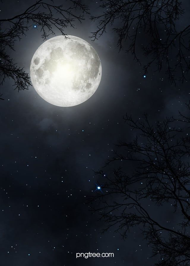 the full moon shines brightly in the night sky with stars and trees silhouetted against it