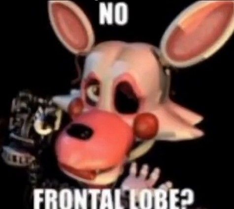 Fnaf mangle Fnaf Animatronics, Bluey Capsules, Down Bad, Frontal Lobe, You Think, On Twitter, Twitter