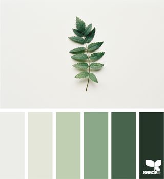 a green color palette with leaves