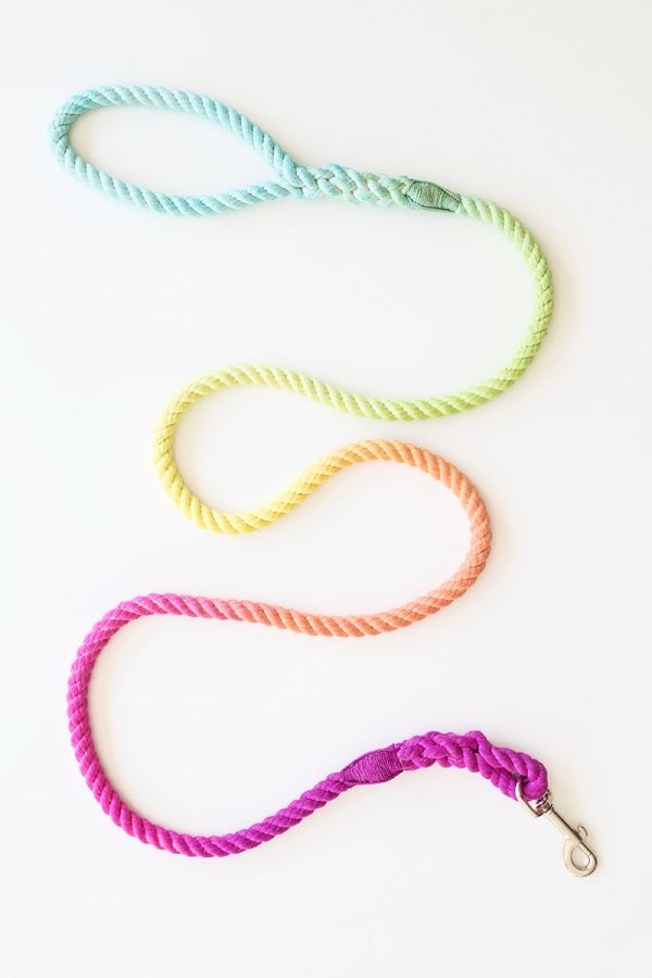 three different colored rope leashs on a white surface, one is pink, the other is blue