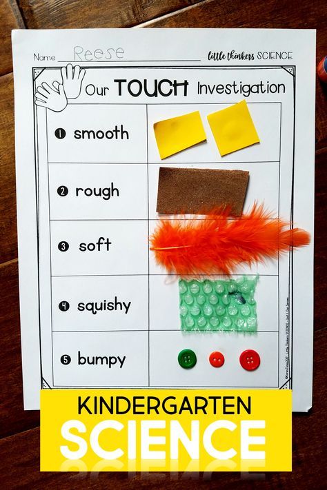 Kindergarten Science Curriculum, Kindergarten Science Lessons, Five Senses Preschool, Pre-k Science, Senses Preschool, Senses Activities, Preschool Science Activities, Kindergarten Lesson Plans, Kindergarten Lessons