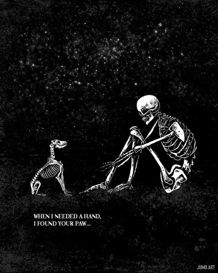 a skeleton sitting next to a dog in the dark