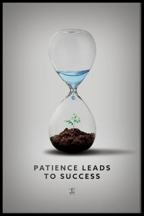 an hourglass filled with dirt and plants on top of it, with the words'patient leads to success '