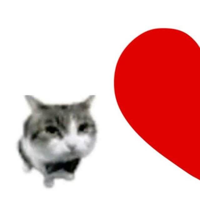 a cat looking at a red heart on a white background