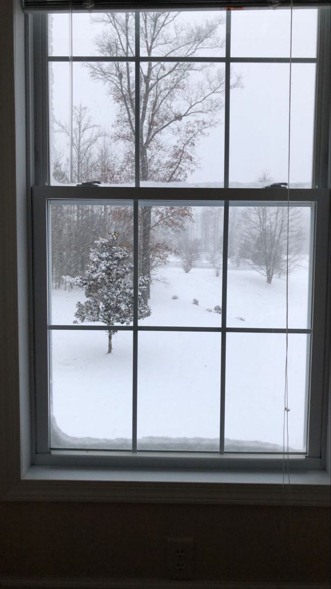 a snow covered yard seen through a window with the view out to the trees outside