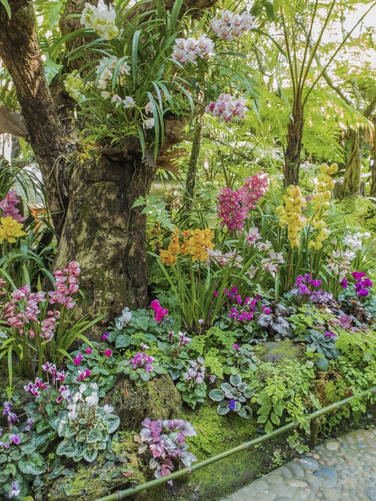 the garden is full of colorful flowers and trees