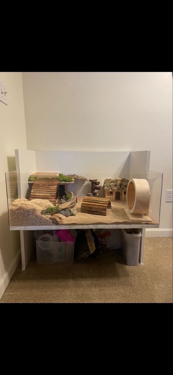 I built this from directions i found on a website. I had Home Depot cut melamine for me and I had the acrylic cut at a hardware store Hamster Cage In Bedroom, Hamster Cage Inspiration, Hamster Habitat Ideas, Hamster Decorations, Hamster Aesthetic Cage, Aesthetic Hamster Cage, Hamster Room, Hamster Aesthetic, Kandang Hamster