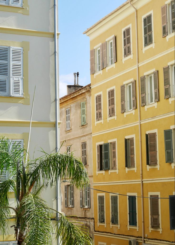 an apartment building with palm trees in the foreground and another one on the other side