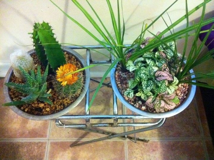 three potted plants sitting on top of a metal rack next to a wall and tiled floor