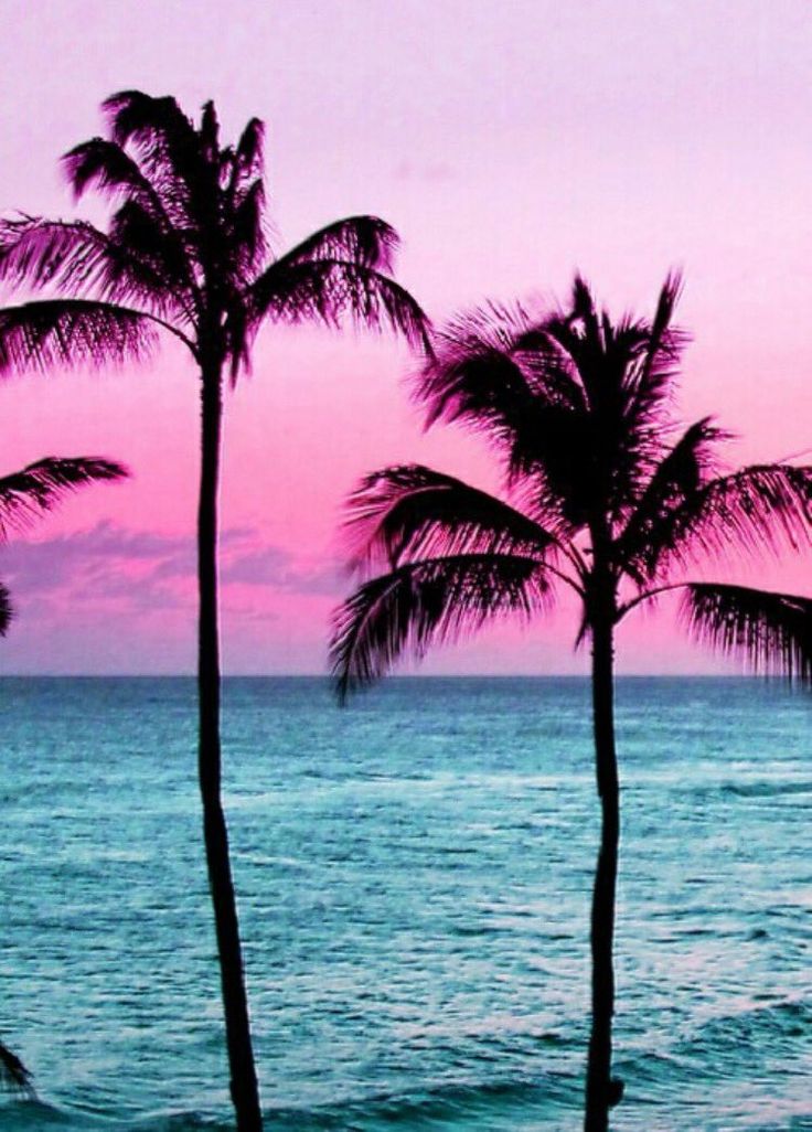 three palm trees in front of the ocean at sunset