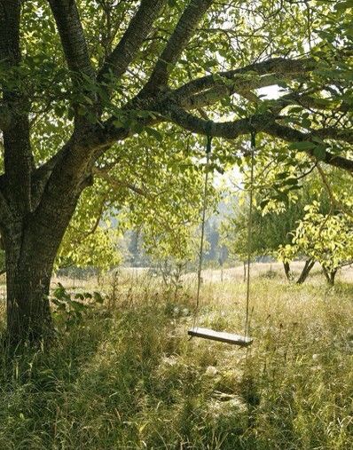 an empty swing in the middle of a grassy field with trees and grass around it