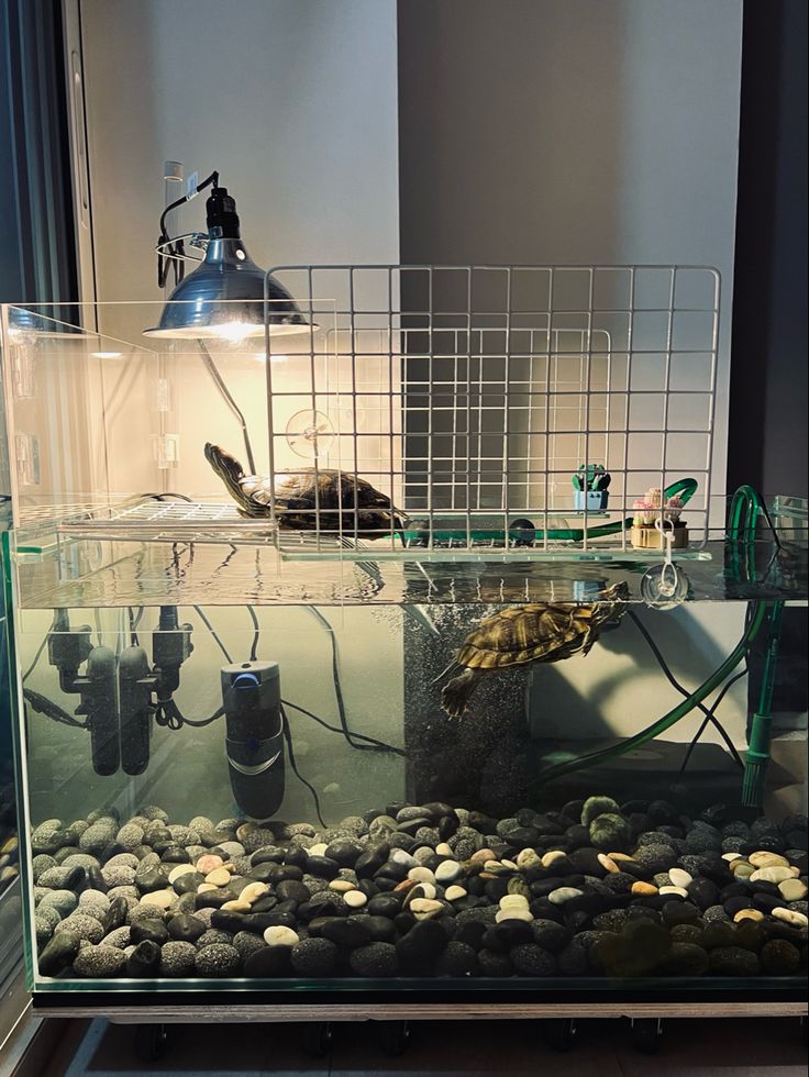 a fish tank with rocks and gravel in it