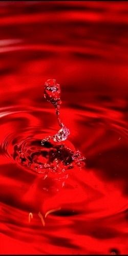 a red water droplet is seen in this artistic photograph, it appears to be floating on the surface