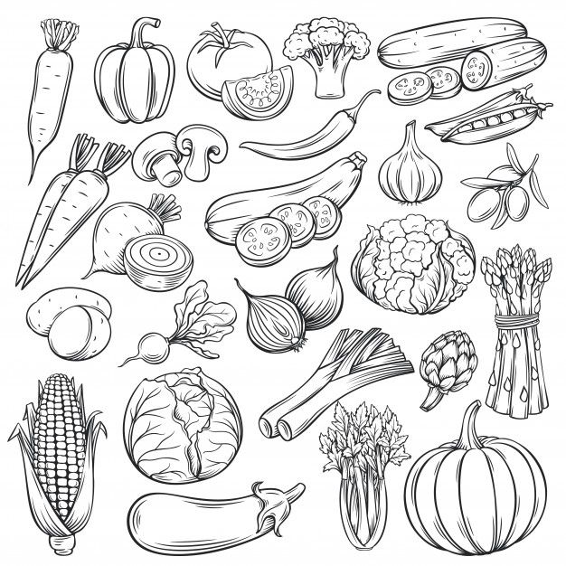 a bunch of vegetables that are drawn on paper