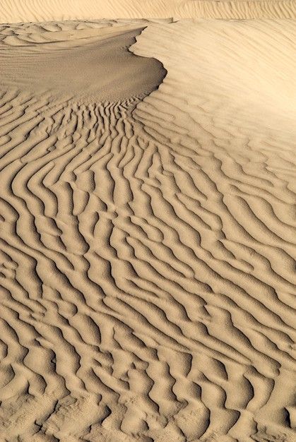 the sand is wavy and has ridges in it