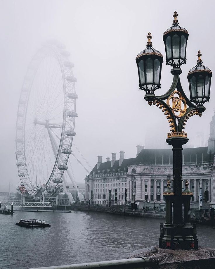 a street light sitting on the side of a river next to a large ferris wheel