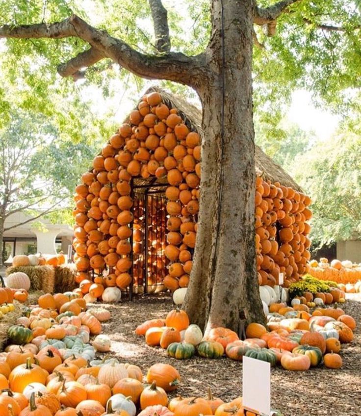 a house made out of pumpkins in the middle of a field with trees and grass