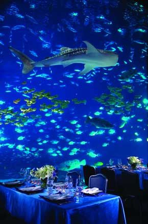 a large aquarium with many fish swimming over the table set for an elegant dinner party