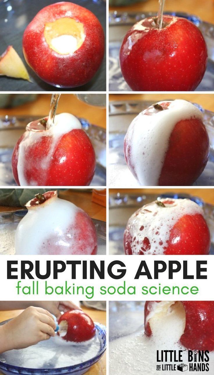 how to make an apple - cano recipe