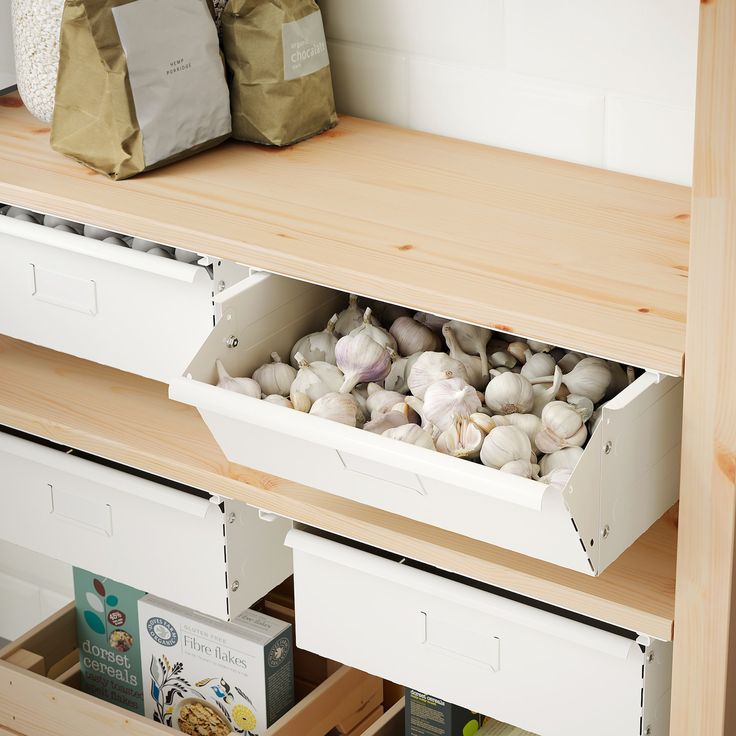 an open drawer on a shelf filled with clams and other sea shells in bins