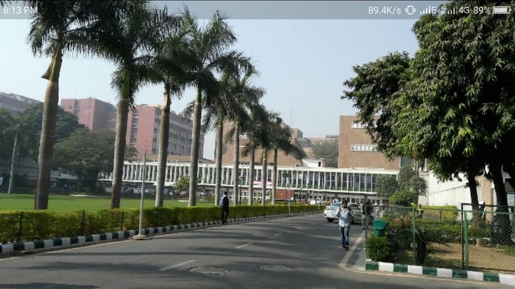 people are walking down the street in front of some buildings and palm trees on either side of the road