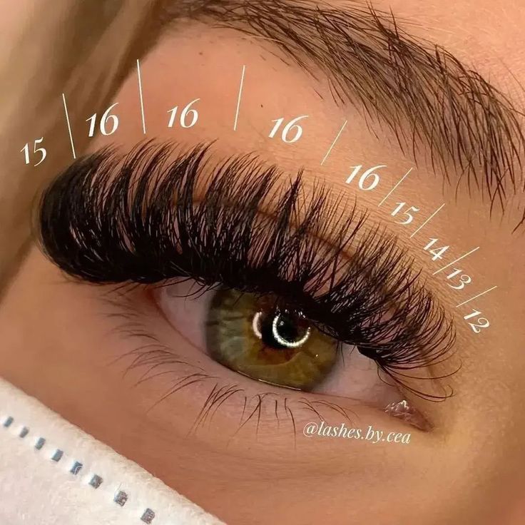 https://fadlash.com/ Hybrid Volume Lash Extensions Styles, Different Types Of Lash Extensions Styles, Lash Extensions Styles Numbers, Eye Lash Extensions Styles Wispy, Lash Number Guide, Volume Cat Eye Lash Extensions Mapping, Mega Volume Wispy Eyelash Extensions, Wispy Volume Lash Extensions Map, Mega Volume Lash Extensions Mapping