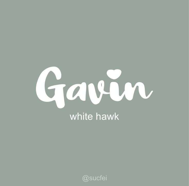 the word gavin written in white on a gray background