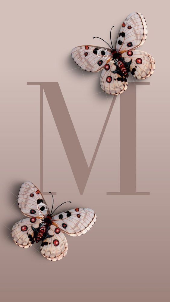 two white butterflies with black spots on their wings and the letter m in the middle