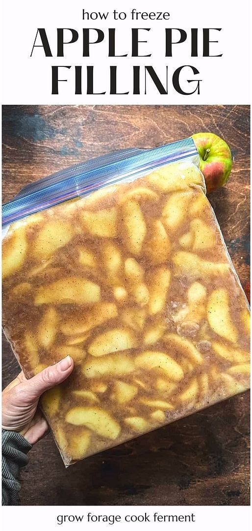 an apple pie filling in a bag on top of a wooden table with the title how to freeze apple pie filling