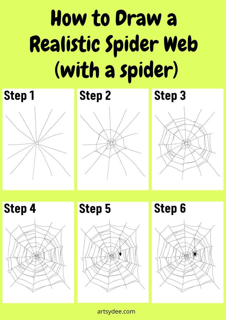 the steps to draw a realistic spider web