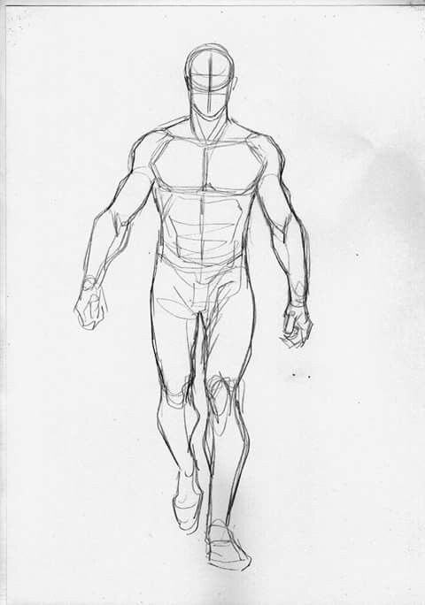 a drawing of a man's body and torso