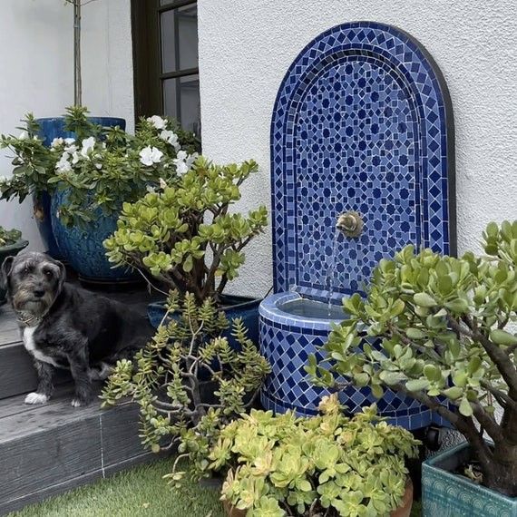 a dog sitting on the steps next to potted plants