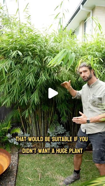 a man standing in front of a lush green plant with a funny caption that reads, that would be suitable if you didn't want a huge plant