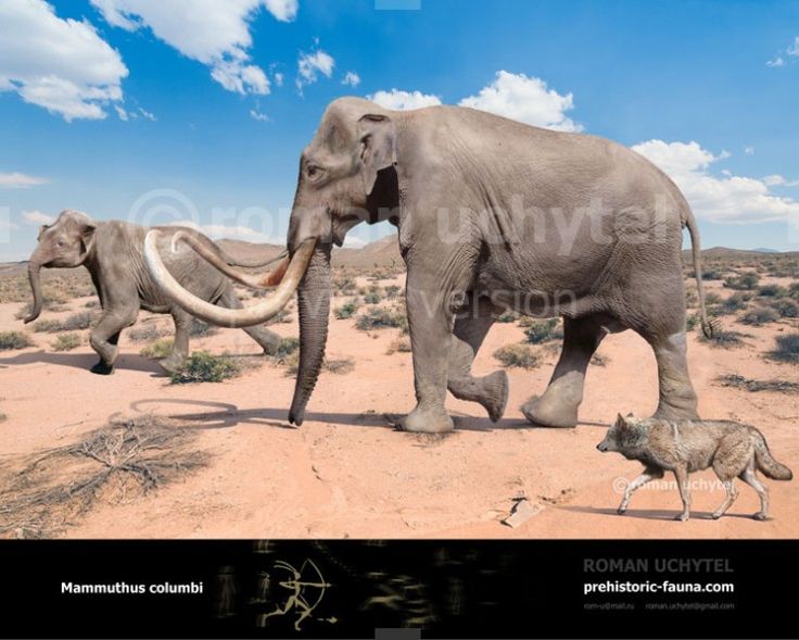 two elephants and a baby elephant walking across a desert landscape with clouds in the background