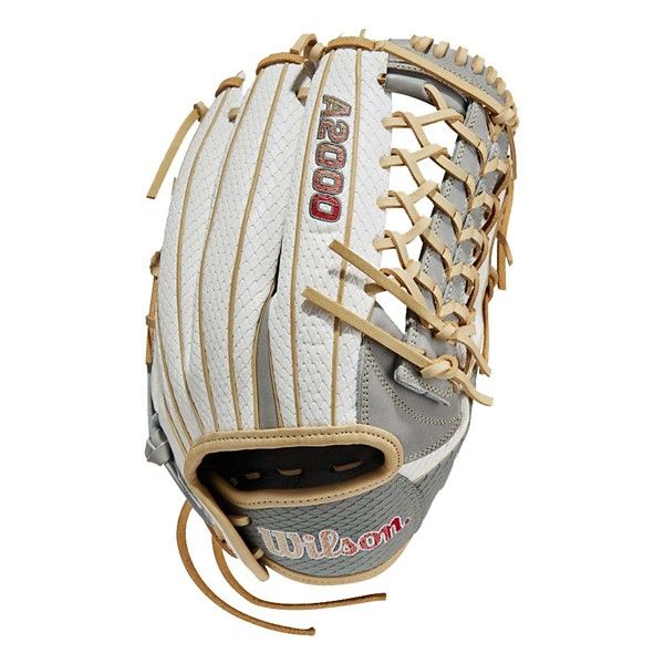 a baseball glove is shown with laces on the inside of it and in front of white background