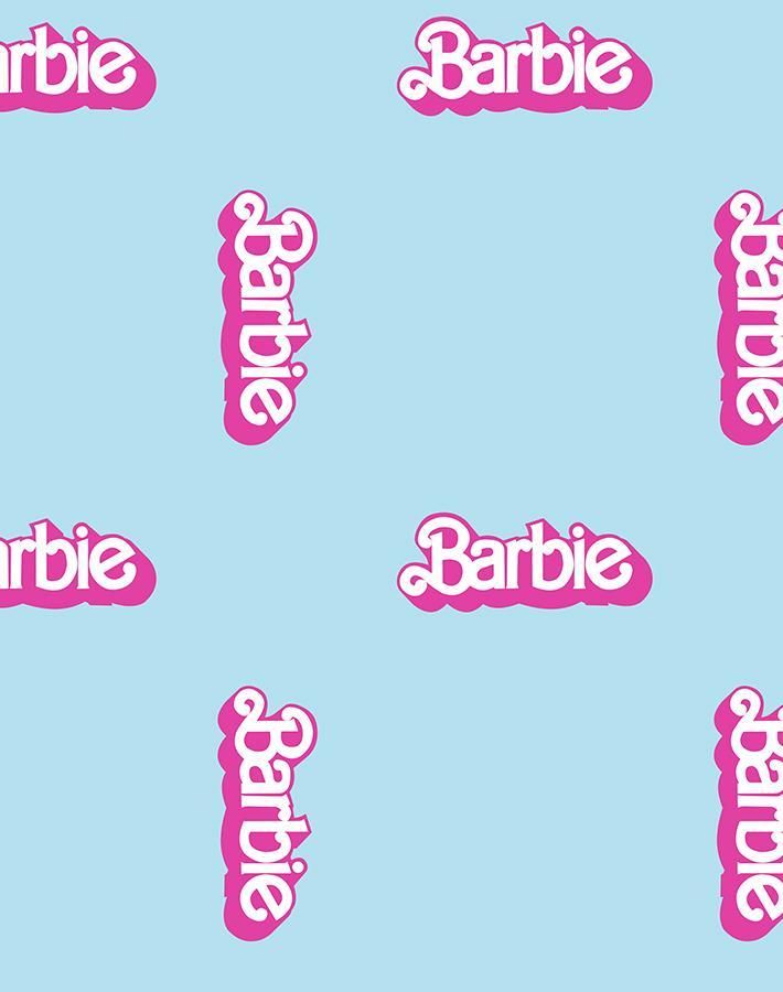 the name barbie is written in pink on a light blue background with white and black letters