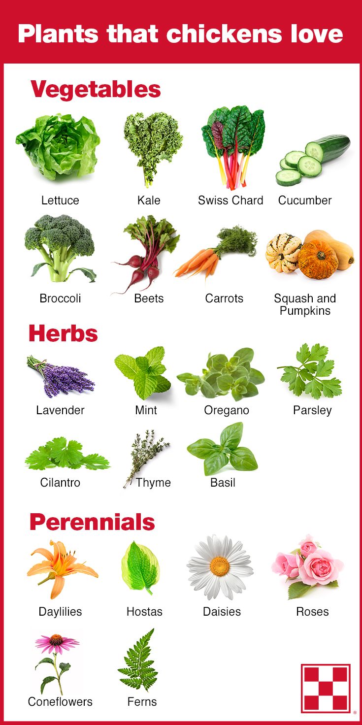 a poster with different types of vegetables on it