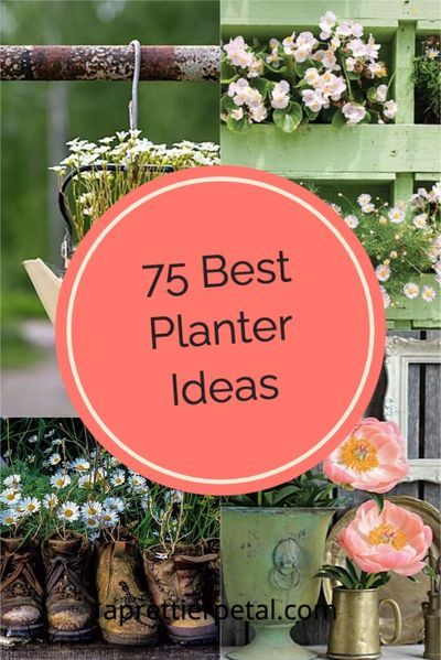 the words 75 best planter ideas on top of pictures with flowers in pots and watering cans