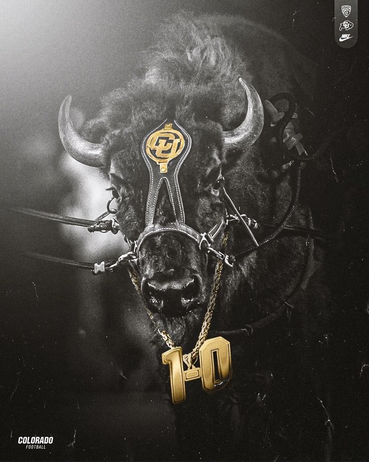 an image of a bull with a gold necklace on it's head and the number ten