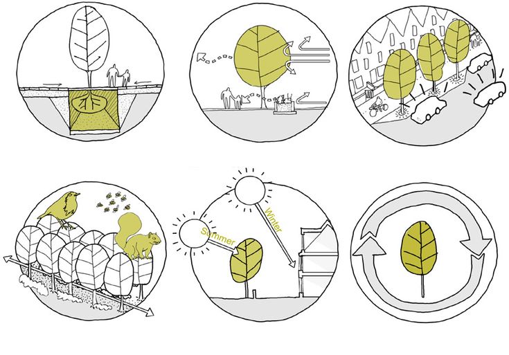 four circles with trees and arrows in them