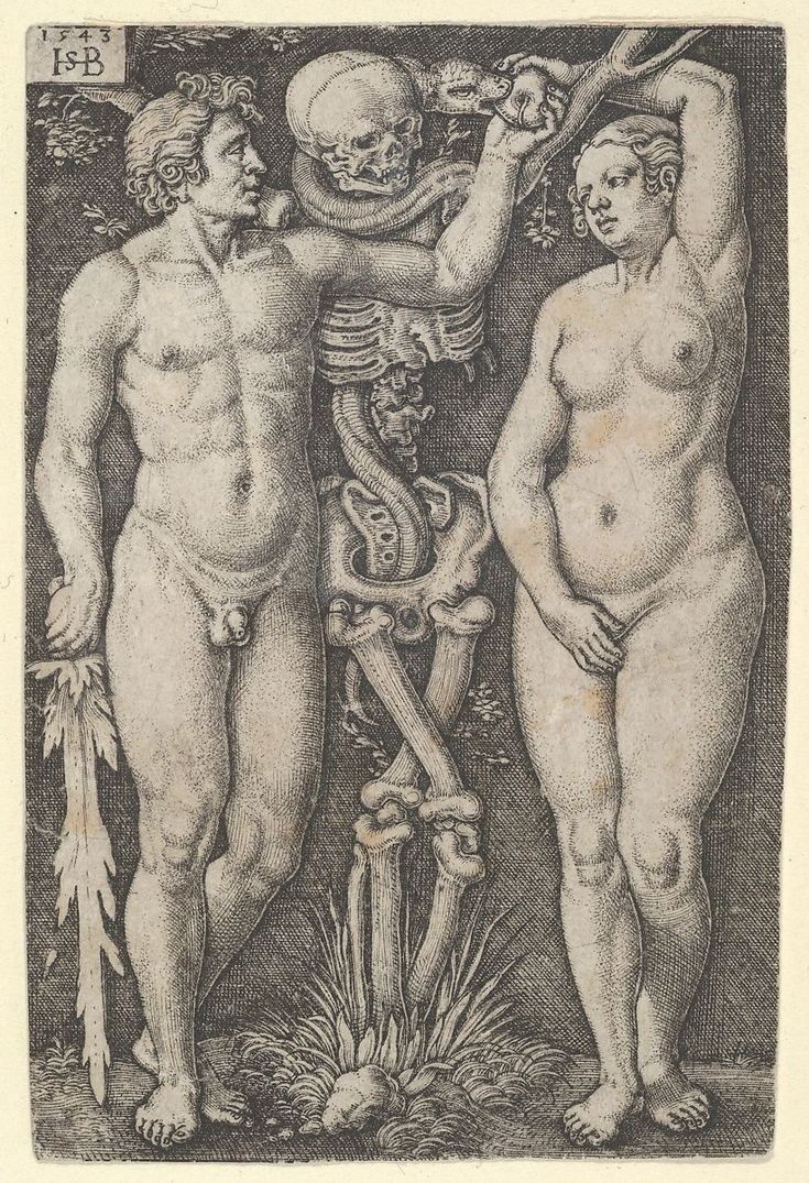 Sebald Beham, The Falling Man, Wellcome Collection, Albrecht Dürer, A4 Poster, Adam And Eve, Old Paintings, Garden Of Eden, Memento Mori