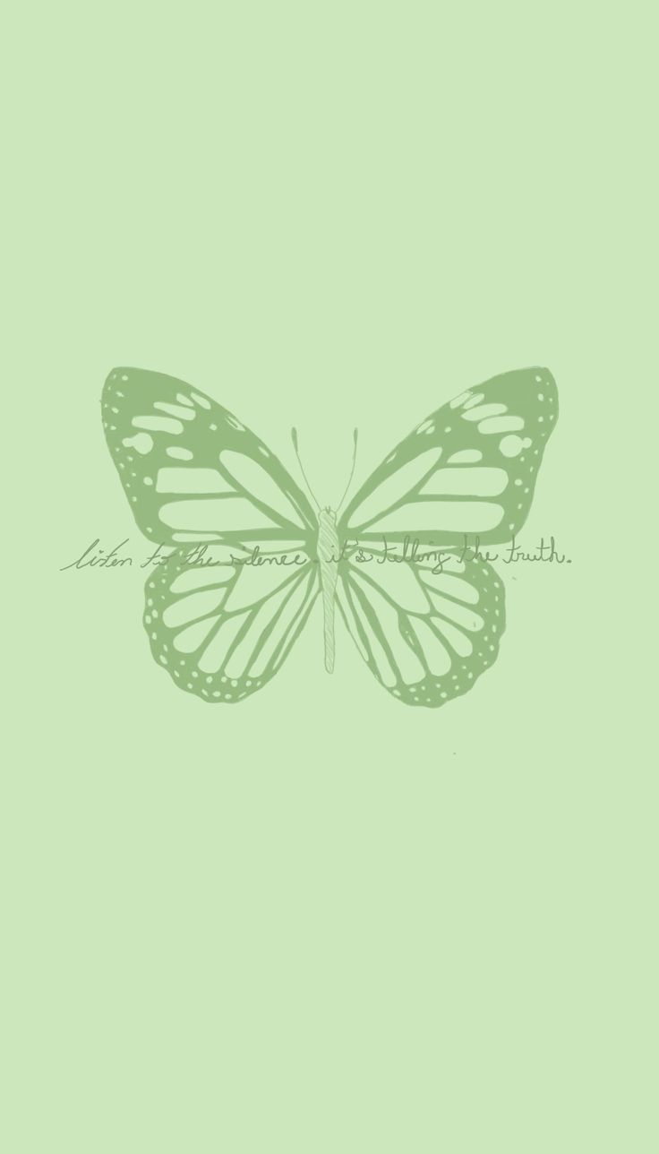 a green butterfly on a light green background