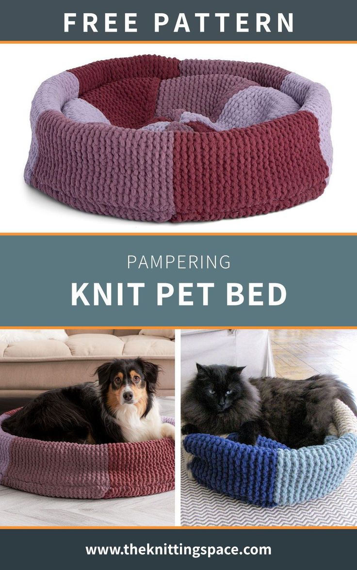 the knitting pattern for this pet bed is easy to make and looks like it could be used