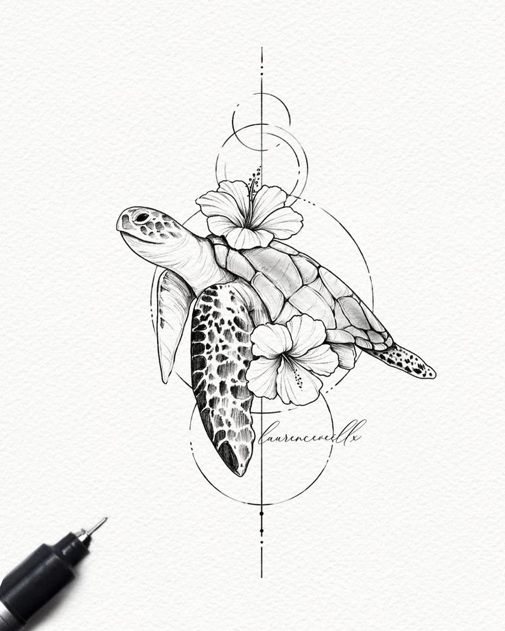 a drawing of a turtle with flowers on it's back and an arrow in the middle