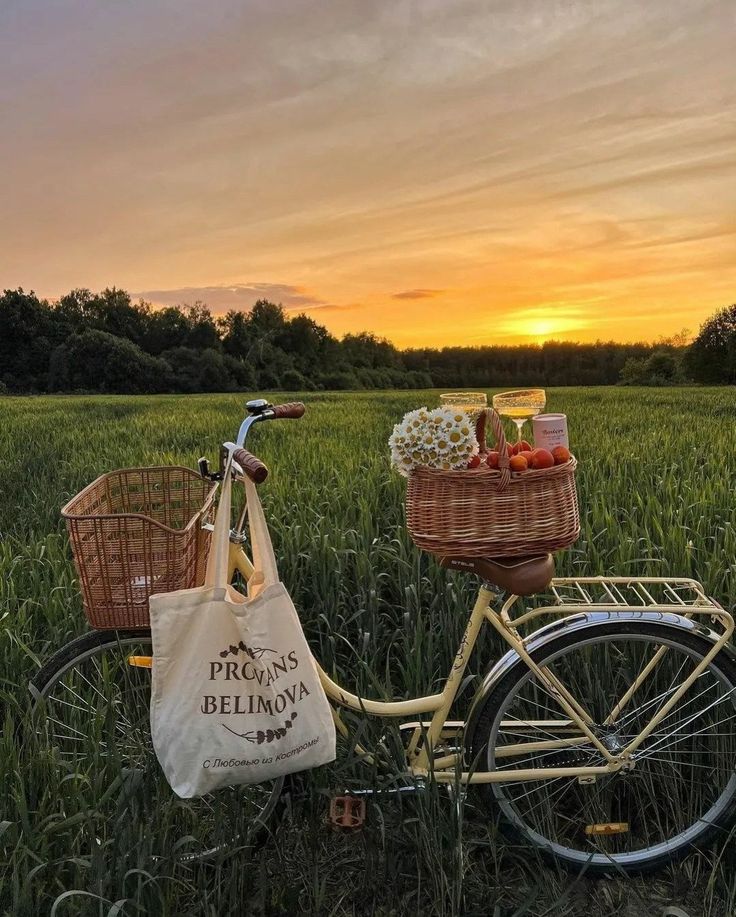 a bike parked in the grass with a basket full of fruit