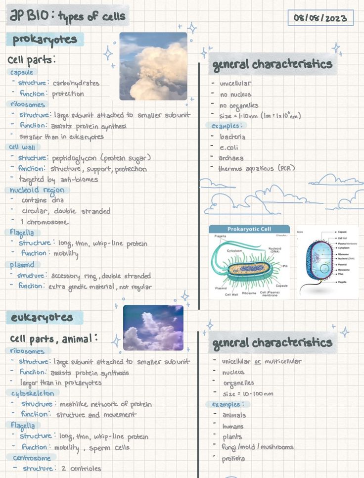 an info sheet showing the different types of clouds and how they look like it's made