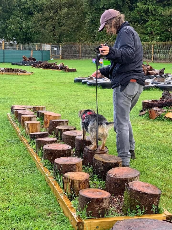 a man standing next to a dog on top of a lush green field covered in trees