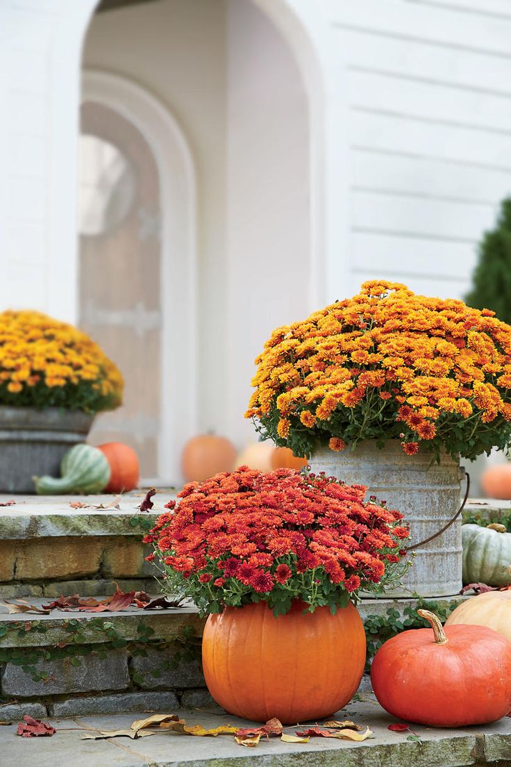 an image of pumpkins and flowers on the steps