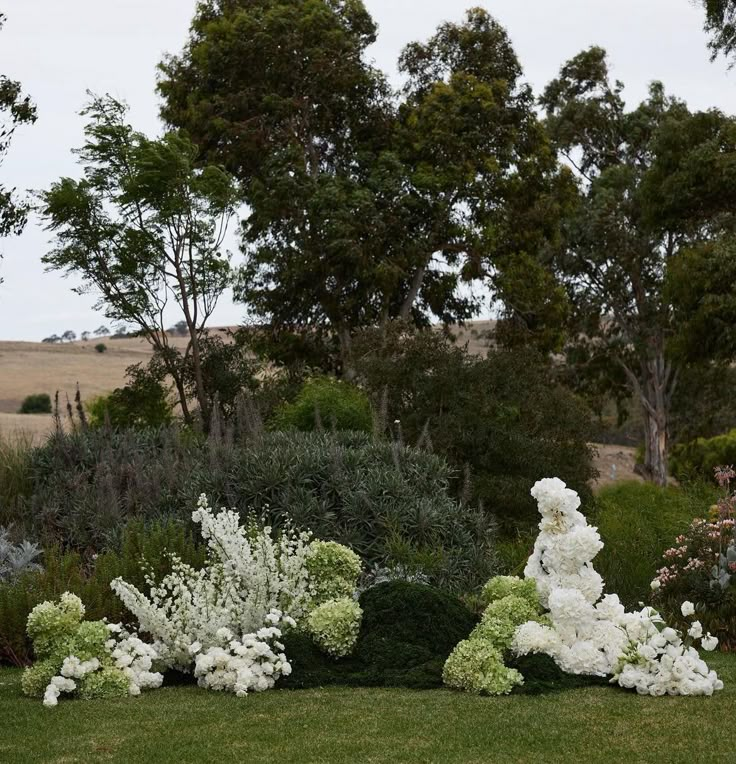 some white flowers bushes and trees in the grass